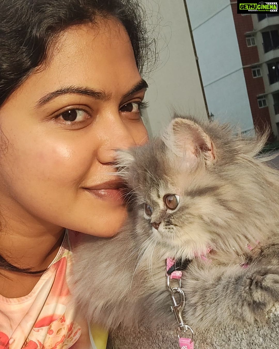 Rachitha Mahalakshmi Instagram - Happy Daughter's day..... My baby doll..... 😻🐾🐾 @siberian_whiskeygrey ❤️❤️❤️❤️ #paw love #petlover #daughtersday