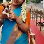 Rachitha Mahalakshmi Instagram – All animals liking me or me liking all animals aa 🤔🤔🤔🤔 
Yedhu yeppadiyo for a moment this little puppy made me happy…. 😇😇😇😇
#petlover #pawlove
