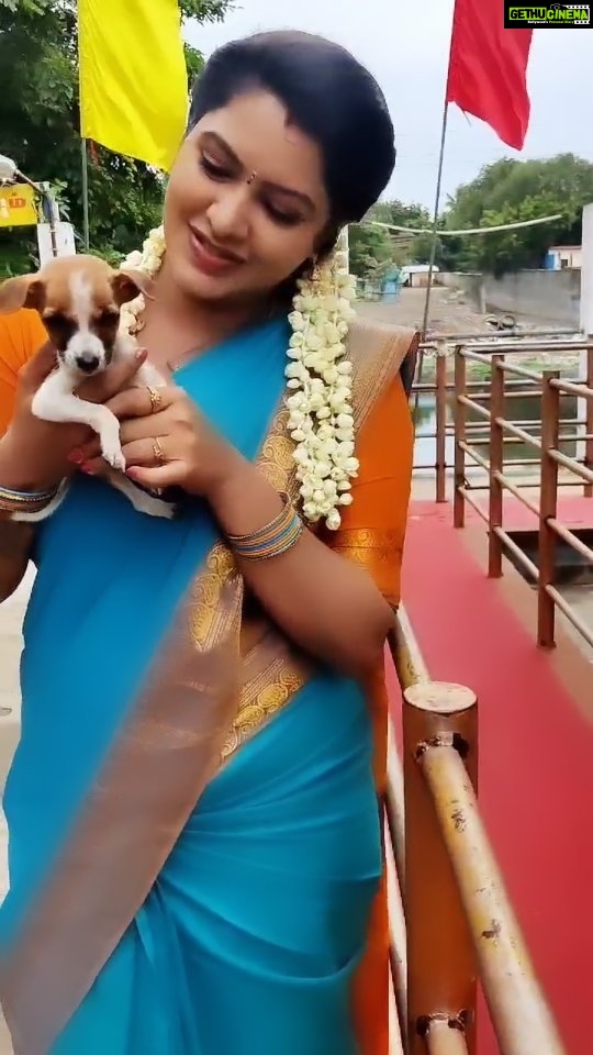 Rachitha Mahalakshmi Instagram - All animals liking me or me liking all animals aa 🤔🤔🤔🤔 Yedhu yeppadiyo for a moment this little puppy made me happy.... 😇😇😇😇 #petlover #pawlove