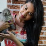 Rachitha Mahalakshmi Instagram - Konjum kastam tha..... But still managed to get few clicks with my baby doll.... Whiskey 😸🐾🐾😉 : It's so true that wen it comes to unconditional love they r d masters.... 😺🐾🐾 @siberian_whiskeygrey 😺🐾🐾 #cat #cats #catlover #catmemes #catloversclub #catsofinstagram #catlife #catoftheday #siberiancat #siberian_cat_lovers #paw #pawlovers #paws #meow #meowmeow #meowmeowmeow #catstagram #catphotos #catscatscats #whiskeythesiberiancat #catsofworld #catlove #siberiankitten #siberianforestcat #cats_of_instworld #catsfollowers #catmom #meow_beauties #meowstagram
