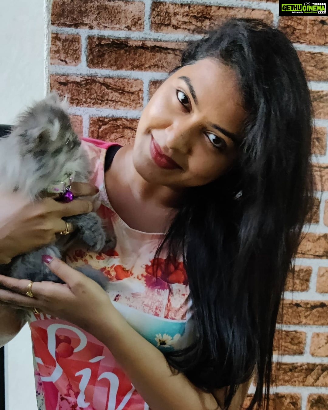Rachitha Mahalakshmi Instagram - Konjum kastam tha..... But still managed to get few clicks with my baby doll.... Whiskey πΈπΎπΎπ : It's so true that wen it comes to unconditional love they r d masters.... πΊπΎπΎ @siberian_whiskeygrey πΊπΎπΎ #cat #cats #catlover #catmemes #catloversclub #catsofinstagram #catlife #catoftheday #siberiancat #siberian_cat_lovers #paw #pawlovers #paws #meow #meowmeow #meowmeowmeow #catstagram #catphotos #catscatscats #whiskeythesiberiancat #catsofworld #catlove #siberiankitten #siberianforestcat #cats_of_instworld #catsfollowers #catmom #meow_beauties #meowstagram