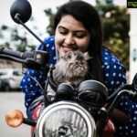 Rachitha Mahalakshmi Instagram - 🌟U only live once,but if u do it rit once is enough 🌟 🔥😉 Here's a reason to share these pics.... Ruddy with Whiskey.... @siberian_whiskeygrey 😻🐾🐾 🔥🔥🔥🔥 #petlover #pawlove @furrytalesbykaushik 📸