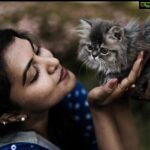 Rachitha Mahalakshmi Instagram - 🌟U only live once,but if u do it rit once is enough 🌟 🔥😉 Here's a reason to share these pics.... Ruddy with Whiskey.... @siberian_whiskeygrey 😻🐾🐾 🔥🔥🔥🔥 #petlover #pawlove @furrytalesbykaushik 📸