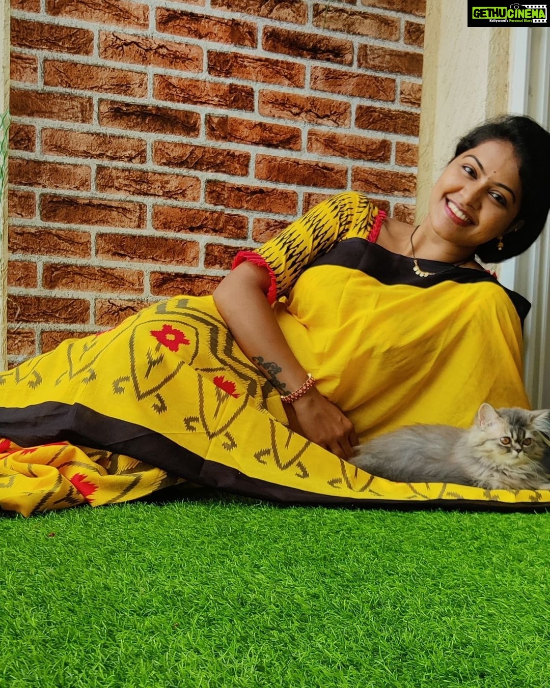 Rachitha Mahalakshmi Instagram - Look who photobombs me while clicking pics..... 😻🐾🐾 🌧️ Rainy mornings 🌧️🌧️🌧️🌧️ : @siberian_whiskeygrey : #sareelove @branding_with_shakthi : #supportwomenentrepreneurs🙋🏼💪🏻