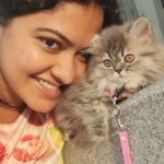 Rachitha Mahalakshmi Instagram - Happy Daughter's day..... My baby doll..... 😻🐾🐾 @siberian_whiskeygrey ❤️❤️❤️❤️ #paw love #petlover #daughtersday