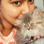 Rachitha Mahalakshmi Instagram - Happy Daughter's day..... My baby doll..... 😻🐾🐾 @siberian_whiskeygrey ❤️❤️❤️❤️ #paw love #petlover #daughtersday
