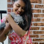 Rachitha Mahalakshmi Instagram - Konjum kastam tha..... But still managed to get few clicks with my baby doll.... Whiskey 😸🐾🐾😉 : It's so true that wen it comes to unconditional love they r d masters.... 😺🐾🐾 @siberian_whiskeygrey 😺🐾🐾 #cat #cats #catlover #catmemes #catloversclub #catsofinstagram #catlife #catoftheday #siberiancat #siberian_cat_lovers #paw #pawlovers #paws #meow #meowmeow #meowmeowmeow #catstagram #catphotos #catscatscats #whiskeythesiberiancat #catsofworld #catlove #siberiankitten #siberianforestcat #cats_of_instworld #catsfollowers #catmom #meow_beauties #meowstagram