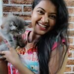 Rachitha Mahalakshmi Instagram - Konjum kastam tha..... But still managed to get few clicks with my baby doll.... Whiskey 😸🐾🐾😉 : It's so true that wen it comes to unconditional love they r d masters.... 😺🐾🐾 @siberian_whiskeygrey 😺🐾🐾 #cat #cats #catlover #catmemes #catloversclub #catsofinstagram #catlife #catoftheday #siberiancat #siberian_cat_lovers #paw #pawlovers #paws #meow #meowmeow #meowmeowmeow #catstagram #catphotos #catscatscats #whiskeythesiberiancat #catsofworld #catlove #siberiankitten #siberianforestcat #cats_of_instworld #catsfollowers #catmom #meow_beauties #meowstagram