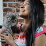 Rachitha Mahalakshmi Instagram - Konjum kastam tha..... But still managed to get few clicks with my baby doll.... Whiskey 😸🐾🐾😉 : It's so true that wen it comes to unconditional love they r d masters.... 😺🐾🐾 @siberian_whiskeygrey 😺🐾🐾 #cat #cats #catlover #catmemes #catloversclub #catsofinstagram #catlife #catoftheday #siberiancat #siberian_cat_lovers #paw #pawlovers #paws #meow #meowmeow #meowmeowmeow #catstagram #catphotos #catscatscats #whiskeythesiberiancat #catsofworld #catlove #siberiankitten #siberianforestcat #cats_of_instworld #catsfollowers #catmom #meow_beauties #meowstagram