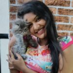 Rachitha Mahalakshmi Instagram - Konjum kastam tha..... But still managed to get few clicks with my baby doll.... Whiskey 😸🐾🐾😉 : It's so true that wen it comes to unconditional love they r d masters.... 😺🐾🐾 @siberian_whiskeygrey 😺🐾🐾 #cat #cats #catlover #catmemes #catloversclub #catsofinstagram #catlife #catoftheday #siberiancat #siberian_cat_lovers #paw #pawlovers #paws #meow #meowmeow #meowmeowmeow #catstagram #catphotos #catscatscats #whiskeythesiberiancat #catsofworld #catlove #siberiankitten #siberianforestcat #cats_of_instworld #catsfollowers #catmom #meow_beauties #meowstagram