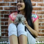 Rachitha Mahalakshmi Instagram - Konjum kastam tha..... But still managed to get few clicks with my baby doll.... Whiskey 😸🐾🐾😉 : It's so true that wen it comes to unconditional love they r d masters.... 😺🐾🐾 @siberian_whiskeygrey 😺🐾🐾 #cat #cats #catlover #catmemes #catloversclub #catsofinstagram #catlife #catoftheday #siberiancat #siberian_cat_lovers #paw #pawlovers #paws #meow #meowmeow #meowmeowmeow #catstagram #catphotos #catscatscats #whiskeythesiberiancat #catsofworld #catlove #siberiankitten #siberianforestcat #cats_of_instworld #catsfollowers #catmom #meow_beauties #meowstagram