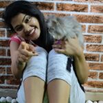 Rachitha Mahalakshmi Instagram - Konjum kastam tha..... But still managed to get few clicks with my baby doll.... Whiskey 😸🐾🐾😉 : It's so true that wen it comes to unconditional love they r d masters.... 😺🐾🐾 @siberian_whiskeygrey 😺🐾🐾 #cat #cats #catlover #catmemes #catloversclub #catsofinstagram #catlife #catoftheday #siberiancat #siberian_cat_lovers #paw #pawlovers #paws #meow #meowmeow #meowmeowmeow #catstagram #catphotos #catscatscats #whiskeythesiberiancat #catsofworld #catlove #siberiankitten #siberianforestcat #cats_of_instworld #catsfollowers #catmom #meow_beauties #meowstagram