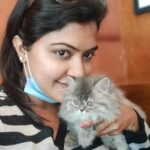 Rachitha Mahalakshmi Instagram - I never knew I could also be a cat person...... 🐱🐾🐾 Welcoming home my little sweetheart 🐱 Good guess... 🐱🐾🐾 😉😉 "Whiskey" she is 😸 😉😉😉😉 @siberian_whiskeygrey 👈 special page for her.... Cat lovers can follow her page 😸😸😸