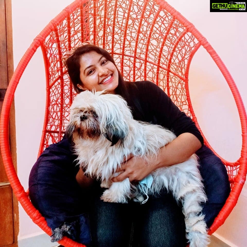 Rachitha Mahalakshmi Instagram - Namba vettu 🐕kutti ya irrunda yennae , pakkatha vettu 🐕kutti ya irrunda yenna.... 🤷🏻♀️ Namba koodae konjum friend agi namba yaedukara photo ku anda 🐕kutti pose kudutha namaku adhu podumae...... 😜🥰🥰🥰🥰🥰🥰🥰 #petlover #pawlove