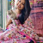Rachitha Mahalakshmi Instagram - My biggest part in my tiny little world.... 🐱🐾🐾 @siberian_whiskeygrey 😻😻😻 : #sareelove @dearunique_1 : #supportwomenentrepreneurs🙋🏼💪🏻