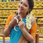 Rachitha Mahalakshmi Instagram - Namba nalla happy ya irukanum na evangae kodae irrunda podumae...... 🐕🐾🐾🐱🐾🐾 My Stress Busters, d reason for me to smile on my hectic days....😇😇😇😇😇 : #petlover #pawlove