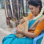 Rachitha Mahalakshmi Instagram - Namba nalla happy ya irukanum na evangae kodae irrunda podumae...... 🐕🐾🐾🐱🐾🐾 My Stress Busters, d reason for me to smile on my hectic days....😇😇😇😇😇 : #petlover #pawlove