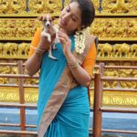 Rachitha Mahalakshmi Instagram - Namba nalla happy ya irukanum na evangae kodae irrunda podumae...... 🐕🐾🐾🐱🐾🐾 My Stress Busters, d reason for me to smile on my hectic days....😇😇😇😇😇 : #petlover #pawlove