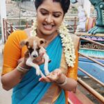 Rachitha Mahalakshmi Instagram - Namba nalla happy ya irukanum na evangae kodae irrunda podumae...... 🐕🐾🐾🐱🐾🐾 My Stress Busters, d reason for me to smile on my hectic days....😇😇😇😇😇 : #petlover #pawlove