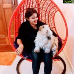 Rachitha Mahalakshmi Instagram – Namba vettu 🐕kutti ya irrunda yennae , pakkatha vettu 🐕kutti ya irrunda yenna…. 🤷🏻♀️
Namba koodae konjum friend agi namba yaedukara photo ku anda 🐕kutti pose kudutha namaku adhu podumae…… 😜🥰🥰🥰🥰🥰🥰🥰
#petlover
#pawlove