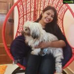 Rachitha Mahalakshmi Instagram – Namba vettu 🐕kutti ya irrunda yennae , pakkatha vettu 🐕kutti ya irrunda yenna…. 🤷🏻♀️
Namba koodae konjum friend agi namba yaedukara photo ku anda 🐕kutti pose kudutha namaku adhu podumae…… 😜🥰🥰🥰🥰🥰🥰🥰
#petlover
#pawlove