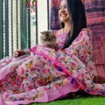 Rachitha Mahalakshmi Instagram - My biggest part in my tiny little world.... 🐱🐾🐾 @siberian_whiskeygrey 😻😻😻 : #sareelove @dearunique_1 : #supportwomenentrepreneurs🙋🏼💪🏻