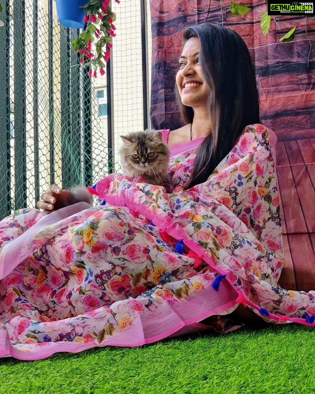 Rachitha Mahalakshmi Instagram - My biggest part in my tiny little world.... 🐱🐾🐾 @siberian_whiskeygrey 😻😻😻 : #sareelove @dearunique_1 : #supportwomenentrepreneurs🙋🏼💪🏻