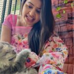 Rachitha Mahalakshmi Instagram - My biggest part in my tiny little world.... 🐱🐾🐾 @siberian_whiskeygrey 😻😻😻 : #sareelove @dearunique_1 : #supportwomenentrepreneurs🙋🏼💪🏻