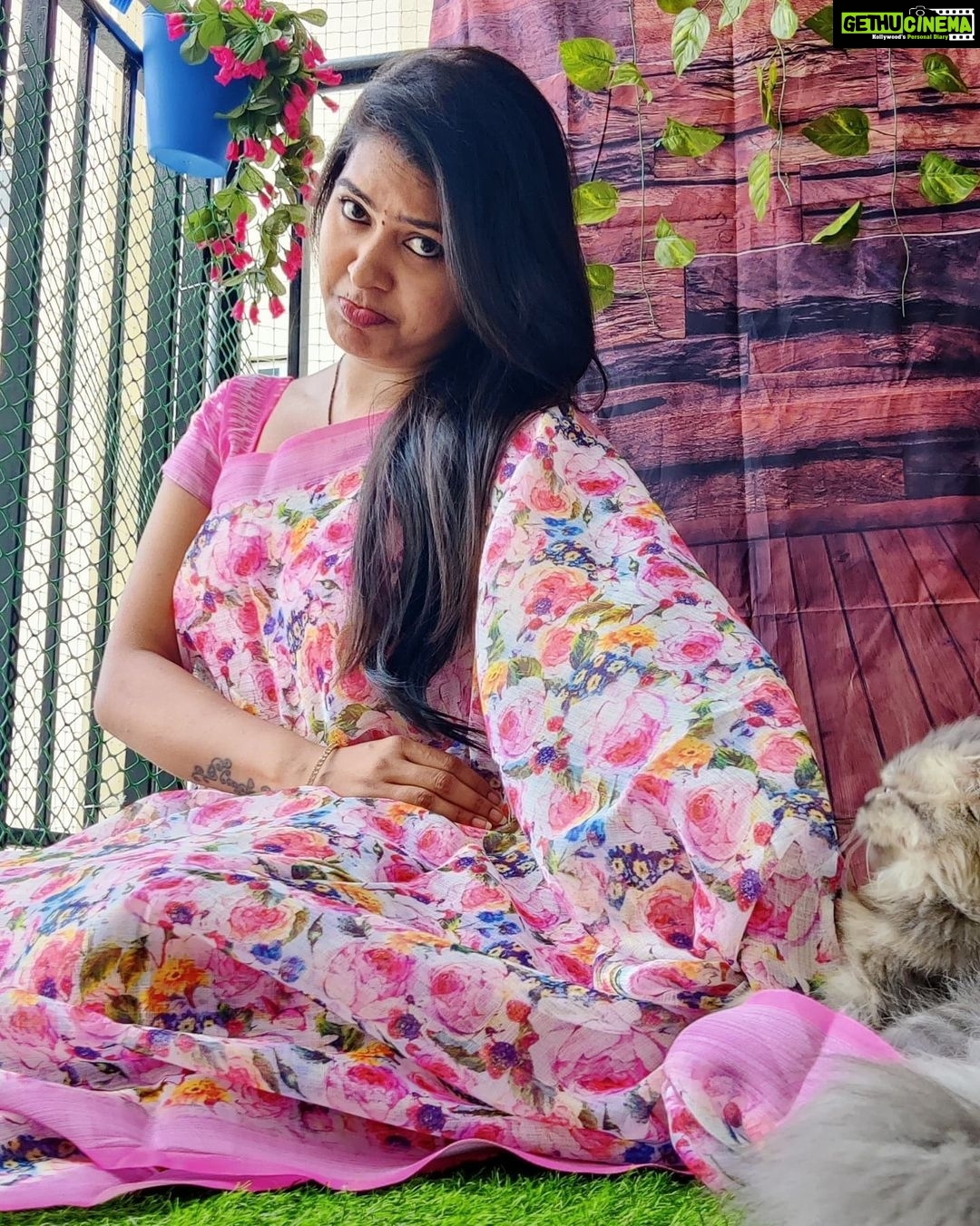Rachitha Mahalakshmi Instagram - My biggest part in my tiny little world.... 🐱🐾🐾 @siberian_whiskeygrey 😻😻😻 : #sareelove @dearunique_1 : #supportwomenentrepreneurs🙋🏼💪🏻