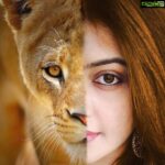 Rachitha Mahalakshmi Instagram - 🌟THE STRONGEST HEART HAVE D MOST SCARS....🌟 Well this is wt u cal a wild cat 😅😅😅🤷🏻‍♀️🔥🔥🔥🔥 🙌🙌🙌🙌🤞🤞🤞 Happy Sunday 😇