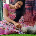 Rachitha Mahalakshmi Instagram - My biggest part in my tiny little world.... 🐱🐾🐾 @siberian_whiskeygrey 😻😻😻 : #sareelove @dearunique_1 : #supportwomenentrepreneurs🙋🏼💪🏻