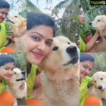 Rachitha Mahalakshmi Instagram - The best therapist has fur nd four legs.... 🐾🐾 My Happy love 🐕🐶 ❤️❤️❤️❤️❤️❤️ 😇😇😇😇😇 Lovely evenings..... 🤗
