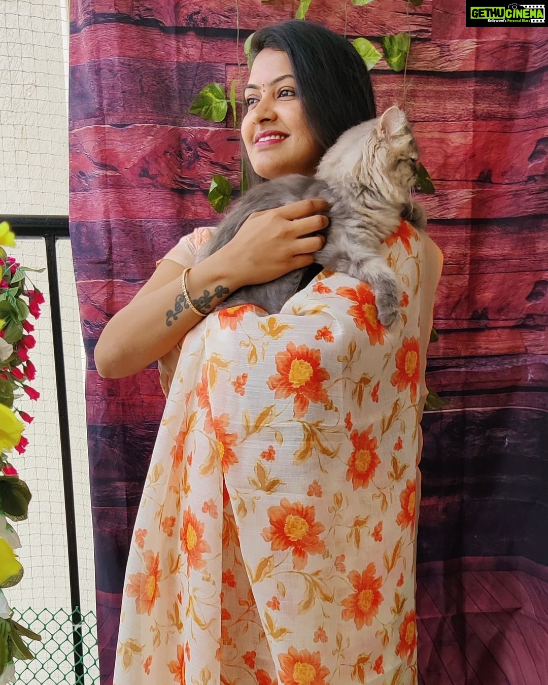 Rachitha Mahalakshmi Instagram - My biggest part in my tiny little world.... 🐱🐾🐾 @siberian_whiskeygrey 😻😻😻 : #sareelove @dearunique_1 : #supportwomenentrepreneurs🙋🏼💪🏻
