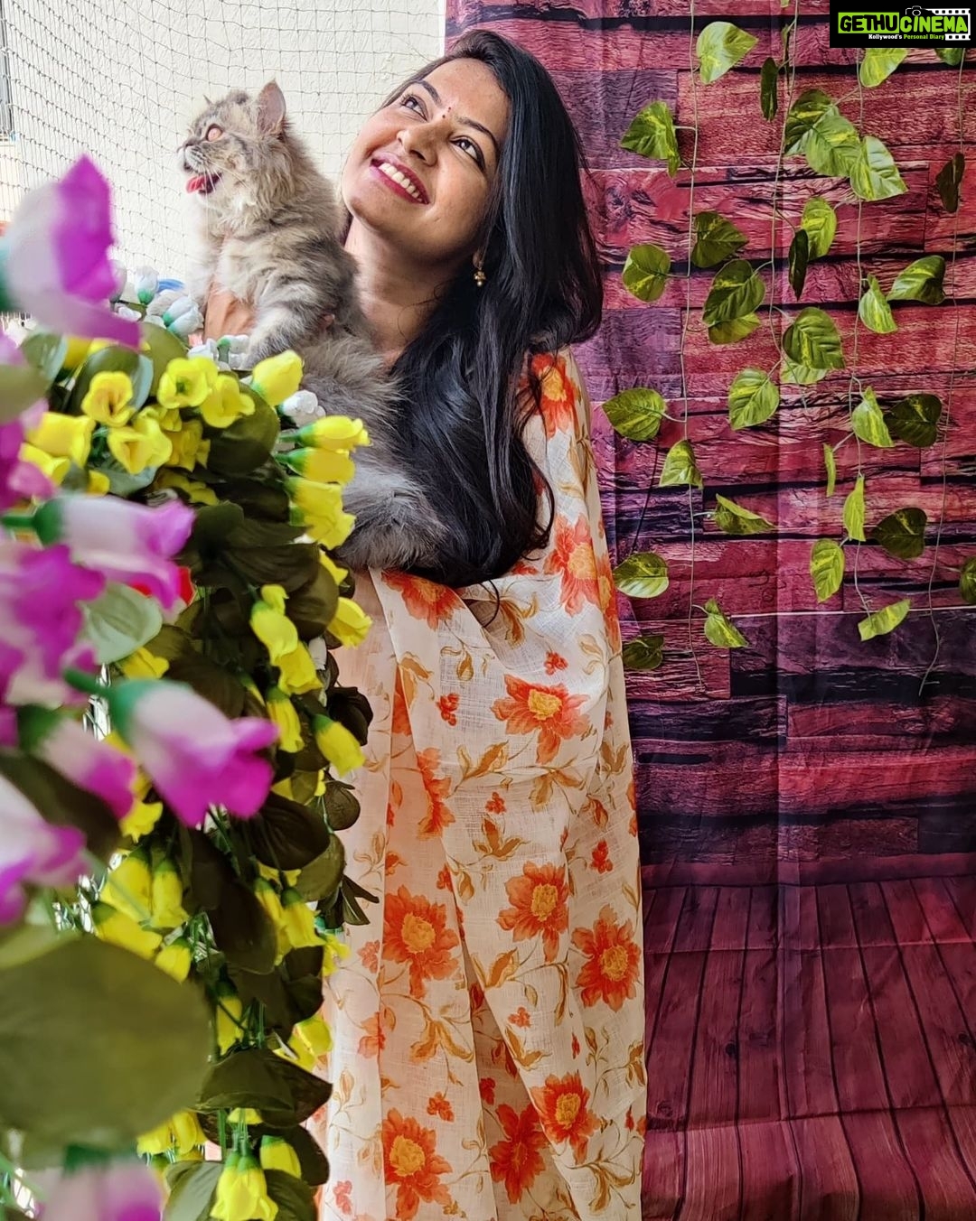 Rachitha Mahalakshmi Instagram - My biggest part in my tiny little world.... 🐱🐾🐾 @siberian_whiskeygrey 😻😻😻 : #sareelove @dearunique_1 : #supportwomenentrepreneurs🙋🏼💪🏻