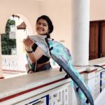 Rachitha Mahalakshmi Instagram – 🌟If you knew what was said in your absence, you’d stop smiling with a lot of people. 🌟 🤷🏻‍♀️
:
#Sareelove @srinivi_collectionz 👈❤️
:
#supportwomenentrepreneurs🙋🏼💪🏻