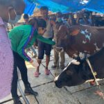 Ragini Dwivedi Instagram - #BBMPCATTLESHED visit today at Frazer Town .... been getting a lot of msgs regarding no feed for the cows and how due to price hike with all have done farmers being forced to sell the cows to slaughter houses .... Thankyou to the #GoodQuestFoundation team for bringing this to my notice in time and we made sure this was put to an end .... We will be monitoring it regularly so if you see any activity around pls do let us know #quarantinework #raginidwivedi #lockdown2020 #letsdothis #animalcare #protection #staypositive #feedthehungry #feedthefarmer #karnatakafocus Fraser Town, Bangalore