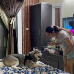 Ragini Dwivedi Instagram - TANTRUMS TO GO OUT 🙄 God children of today not allowing mother to put a face pack also 🙄😂💃🐒❤️☺️ #zuesthehusky #blueeyedhusky #mamababy #petsofinstagram #huskylove #huskylife #theytalk #huskiesofinstagram #huskycantalk #mothersonlove #loveislove #raginidwivedi #homesweethome #reelsinstagram #reels #reelitfeelit #reelkarofeelkaro #reelsvideo #reelsindia