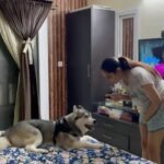 Ragini Dwivedi Instagram – TANTRUMS TO GO OUT 🙄
God children of today not allowing mother to put a face pack also 🙄😂💃🐒❤️☺️
#zuesthehusky #blueeyedhusky #mamababy #petsofinstagram #huskylove #huskylife #theytalk #huskiesofinstagram #huskycantalk #mothersonlove #loveislove #raginidwivedi #homesweethome #reelsinstagram #reels #reelitfeelit #reelkarofeelkaro #reelsvideo #reelsindia