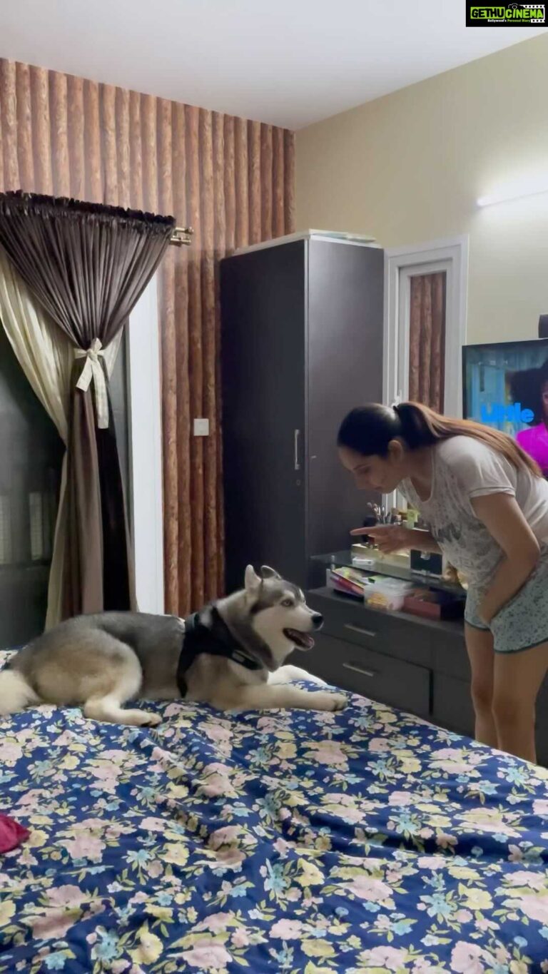Ragini Dwivedi Instagram - TANTRUMS TO GO OUT 🙄 God children of today not allowing mother to put a face pack also 🙄😂💃🐒❤️☺️ #zuesthehusky #blueeyedhusky #mamababy #petsofinstagram #huskylove #huskylife #theytalk #huskiesofinstagram #huskycantalk #mothersonlove #loveislove #raginidwivedi #homesweethome #reelsinstagram #reels #reelitfeelit #reelkarofeelkaro #reelsvideo #reelsindia