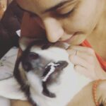 Ragini Dwivedi Instagram - Mom be going crazy with kisses 🙄😂 yet again …Gawd help me with my cuteness ❤️🐒😛 #Zuesthoughts #momlove #shebecrazysometimes #petsofinstagram #loveislove #poser #smallhappythings #raginidwivedi #husky #blueeyedhusky