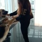 Ragini Dwivedi Instagram - LOVE ❤️ #raginidwivedi #animallovers #dogsofinstagram #trendingreels #unconditionallove #petsofinstagram #pets #lovewins #loveislove #mybabyboy #outsideandinside #reelsinstagram #reelsvideo #reelitfeelit #reel #reelsindia