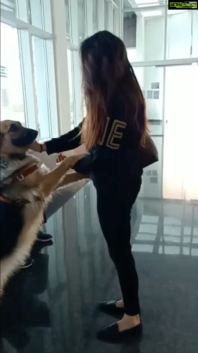 Ragini Dwivedi Instagram - LOVE ❤️ #raginidwivedi #animallovers #dogsofinstagram #trendingreels #unconditionallove #petsofinstagram #pets #lovewins #loveislove #mybabyboy #outsideandinside #reelsinstagram #reelsvideo #reelitfeelit #reel #reelsindia