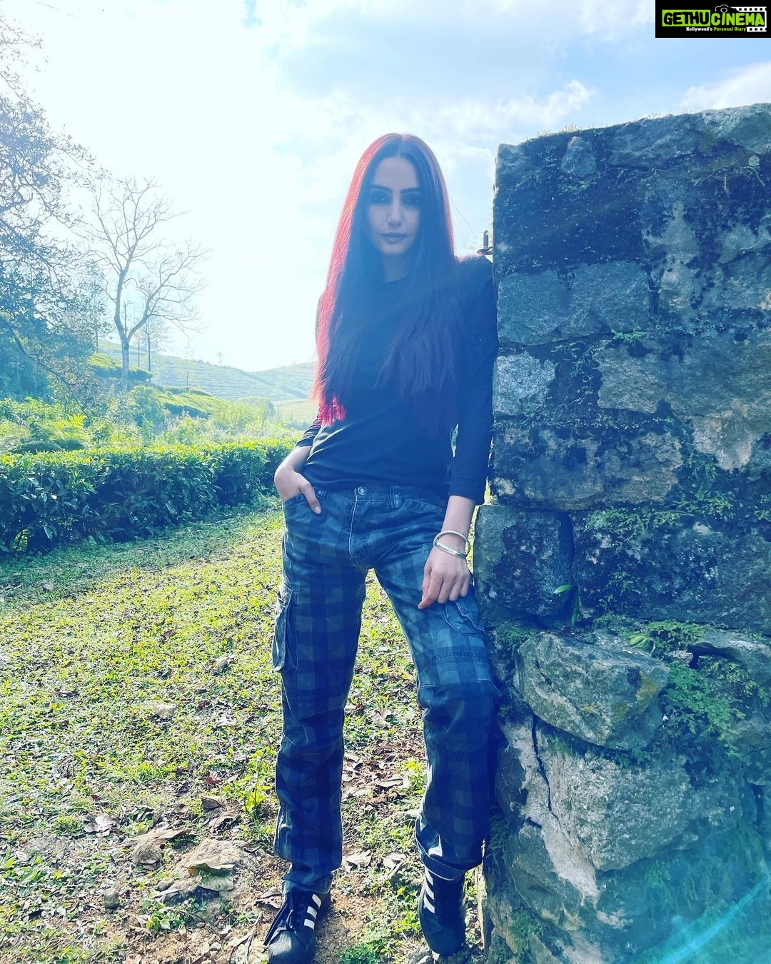 Ragini Dwivedi Instagram - SHEILA (Malyallam/Kannada) Here’s announcing my next big bilingual Shooting in #kerelagodsowncountry Coming back to Malyallam films after years and the love I’ve received is unbelievable… stay tuned for this one will be spine chilling one to explore With a fabulous technical team artists and locations …. Details out soon ☀️❤️ #raginidwivedi #actor #bilingual #malyalam #kannada #southindia #poser #naturephotography #morning #fridaymood #positivevibes #goodvibesonly #poser #letsdoit #workhard #keepfaith #staystrong #love #movies #instagram #instagood #instamood #instalike #instafashion #instalove #womenempowerment #womensurvivors #trending #influencer Vandiperiyar, Kerala, India