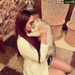 Ragini Dwivedi Instagram – INTRODUCING 👑 ZEUS 👑
My son welcome to the family you have bought only smiles and happiness to us and there could be nothing more special than ur big blue eyes and ur naughtiness that lights the house right now. #raginidwivedi #zeus #zeusthehusky #loveislove #lovelightandblessings #staypositive #husky #huskiesofinstagram #blueeyeshusky #petsofinstagram Home Sweet Home