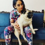 Ragini Dwivedi Instagram - Just a little weak 27kgs baby 🥰😂😂🐒 Just needed two more hands to lift him 👻 Gundaaa 🙇🏼‍♀️ #mercurythepug #dogs #loveislove #pets #petsofinstagram #love #poser #raginidwivedi #karnataka Bengaluru