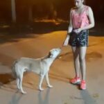 Ragini Dwivedi Instagram – Sunday binge for Bangara ❤️yup that’s the dogs name and I gave him that one 🐕🥰
What do u think ??? Home Sweet Home