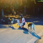 Ragini Dwivedi Instagram – SAY HELLOW to my friends 🙇🏼‍♀️💃🏻🐕🐕
My little ones come by everyday to be pampered and fed with goodies ❤️
#raginidwivedi #lovenlight #homeishere #dogsoninstagram #animallove #blore #helpeachother #quarantinelife #strays Home Sweet Home