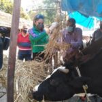 Ragini Dwivedi Instagram - #BBMPCATTLESHED visit today at Frazer Town .... been getting a lot of msgs regarding no feed for the cows and how due to price hike with all have done farmers being forced to sell the cows to slaughter houses .... Thankyou to the #GoodQuestFoundation team for bringing this to my notice in time and we made sure this was put to an end .... We will be monitoring it regularly so if you see any activity around pls do let us know #quarantinework #raginidwivedi #lockdown2020 #letsdothis #animalcare #protection #staypositive #feedthehungry #feedthefarmer #karnatakafocus Fraser Town, Bangalore