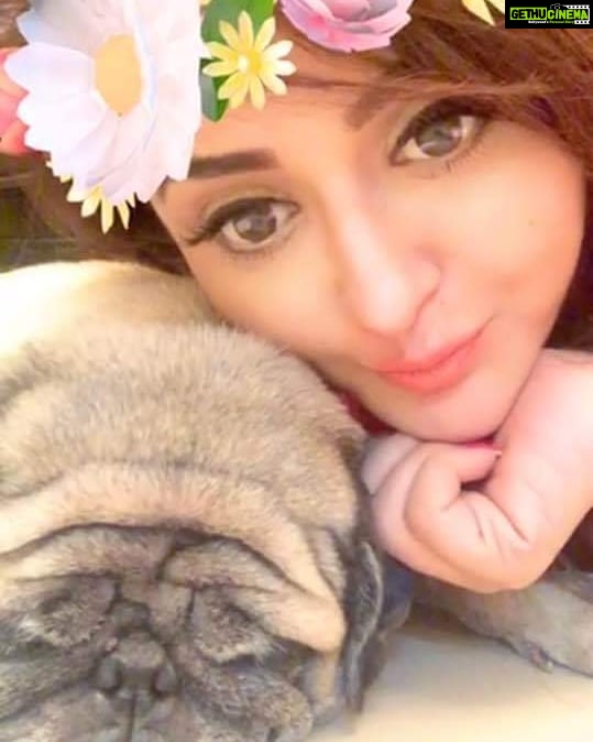 Ragini Nandwani Instagram - Hey Sunday! ♥️🦄☃️ #ragininandwani #sundayfunday #sunday #eveningvibes #smile #love #flowers #happy #sleepy #sleepypuppy #hollywoodstudios #tv #actress #movies