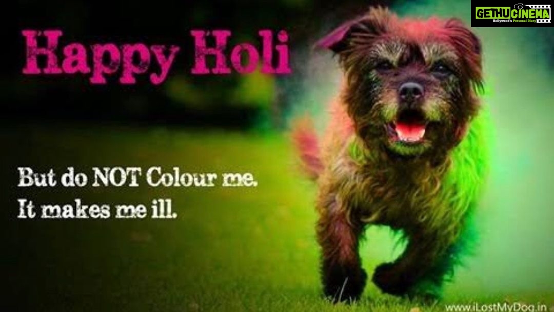Ragini Nandwani Instagram - Wishing u all a very happy Holi ....